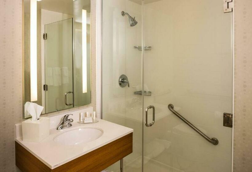 סטודיו סטנדרט, מיטה זוגית, Springhill Suites New York Laguardia Airport