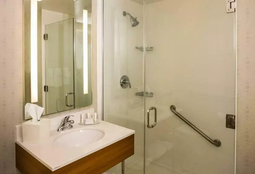 キングサイドベッドのスタンダードワンルーム, Springhill Suites New York Laguardia Airport