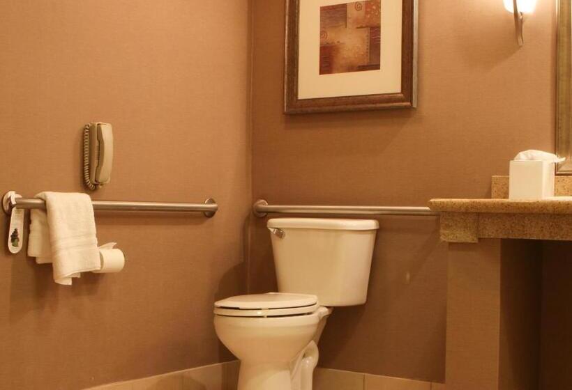 غرفة قياسية لذوى الاحتياجات الخاصة, Best Western Plus Bayside