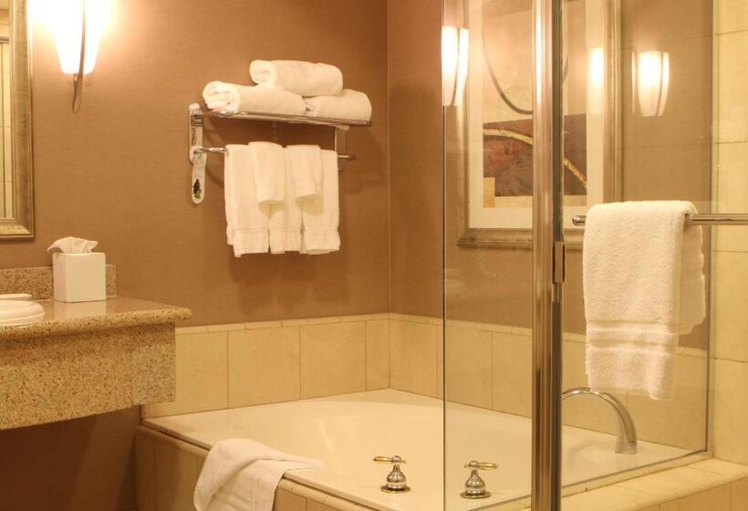 غرفة قياسية مطلة على المدينة, Best Western Plus Bayside