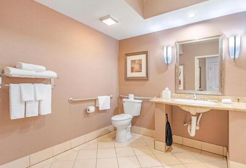 Standaardkamer Aangepast voor Gehandicapten, Best Western Plus Bayside
