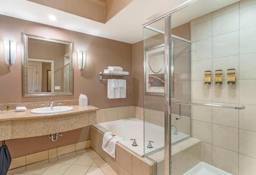 غرفة قياسية ذات إطلالة, Best Western Plus Bayside