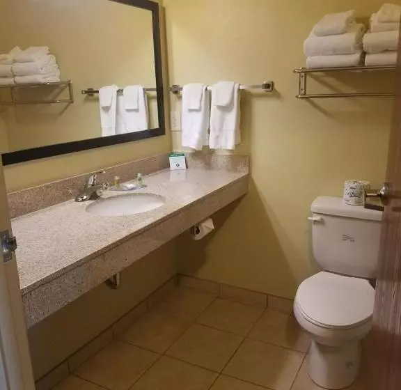 キングサイズベッドのスタンダードルーム, Cobblestone Inn & Suites Bottineau