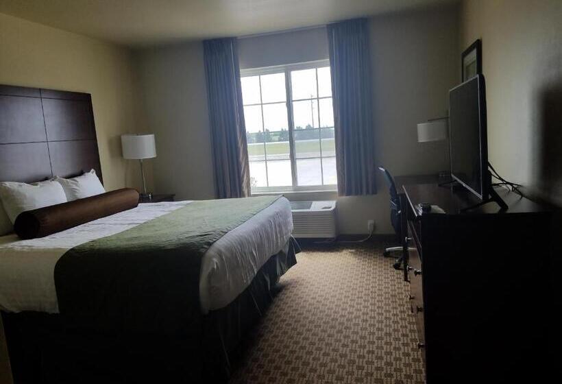 غرفة قياسية سرير كينج, Cobblestone Inn & Suites  Bottineau