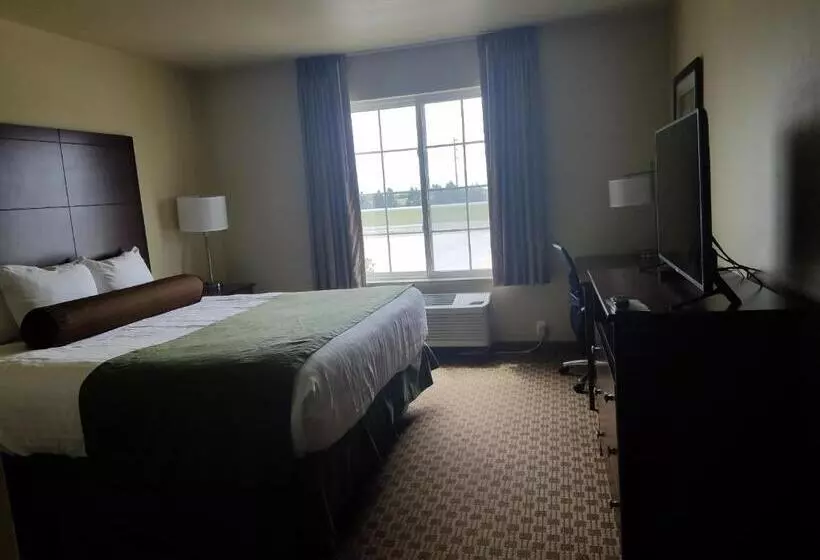 キングサイズベッドのスタンダードルーム, Cobblestone Inn & Suites Bottineau