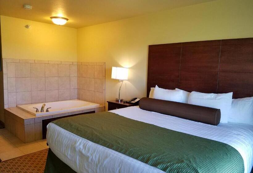 스탠다드 룸 킹사이즈 침대, Cobblestone Inn & Suites  Bottineau