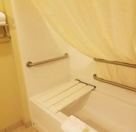 身障者適用シングルルーム, Cobblestone Inn & Suites Bottineau