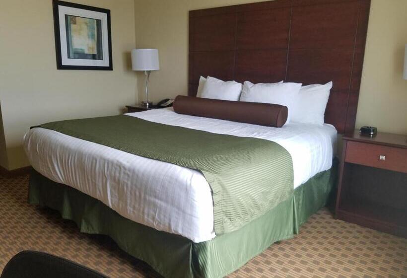 غرفة قياسية فردية لذوى الإحتياجات الخاصة, Cobblestone Inn & Suites  Bottineau