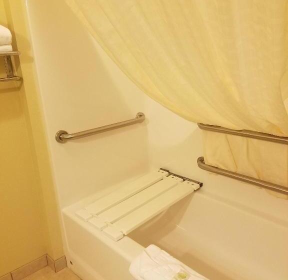 غرفة قياسية لذوى الاحتياجات الخاصة, Cobblestone Inn & Suites  Bottineau