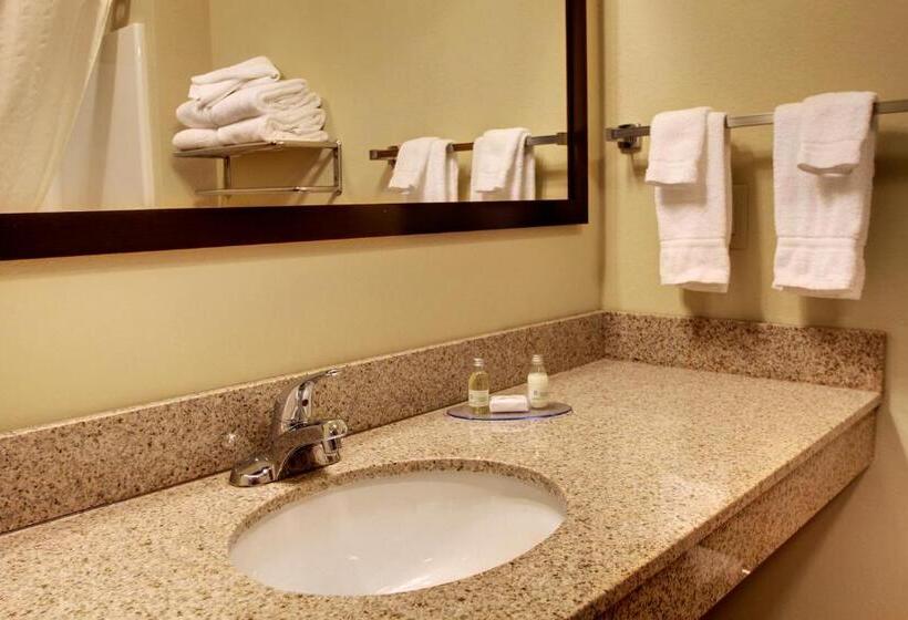 장애인을 위한 스탠다드 룸, Cobblestone Inn & Suites  Bottineau