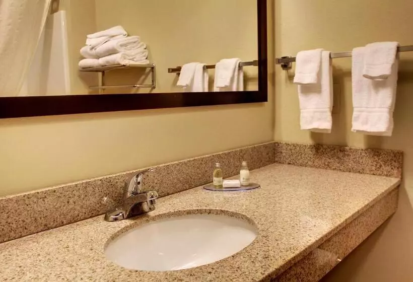 身障者適用スタンダードルーム, Cobblestone Inn & Suites Bottineau