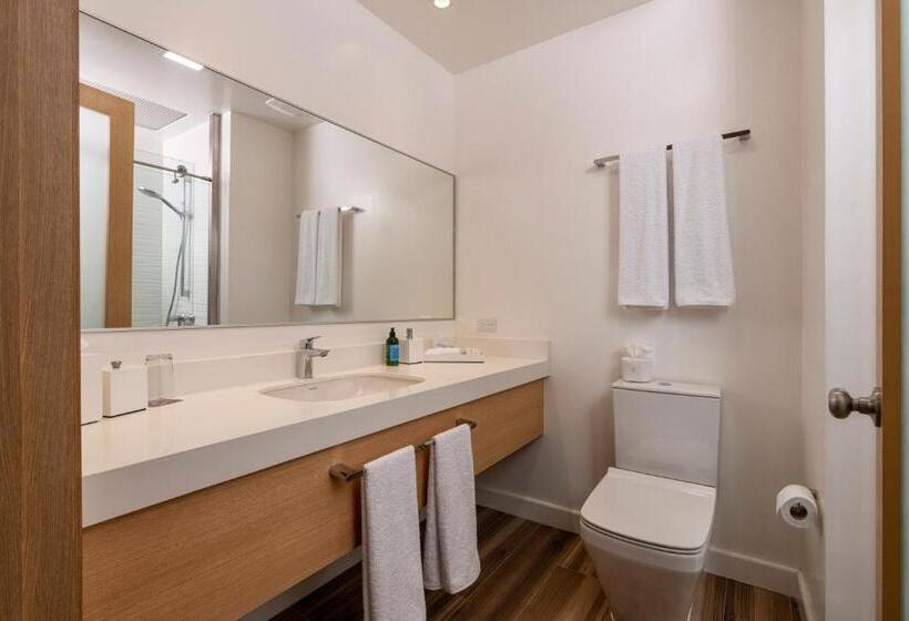 سوییت با چشم‌انداز دریا, Finch Bay Galapagos