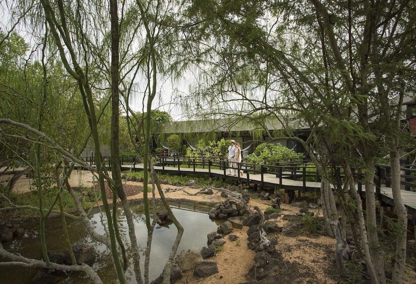 اتاق استاندارد, Finch Bay Galapagos