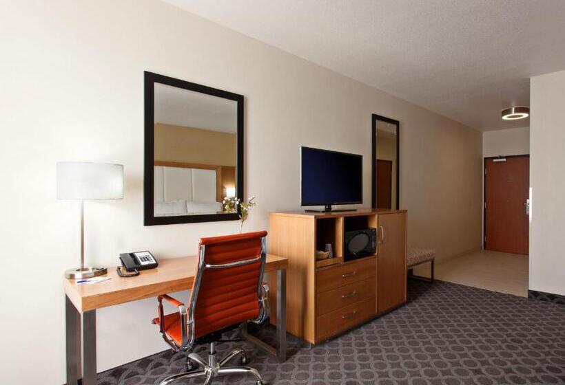 장애인을 위한 킹사이즈 침대 스탠다드 룸, Holiday Inn Express North Hollywood   Burbank Area, An Ihg