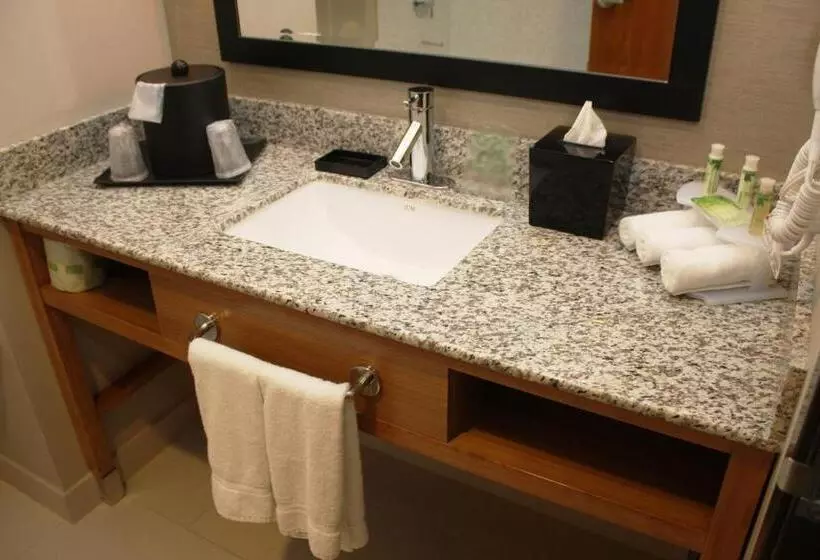 Standard-invahuone King-vuode, Holiday Inn Express North Hollywood Burbank Area, An Ihg