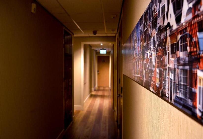 ベーシックルーム, Mosaic City Centre