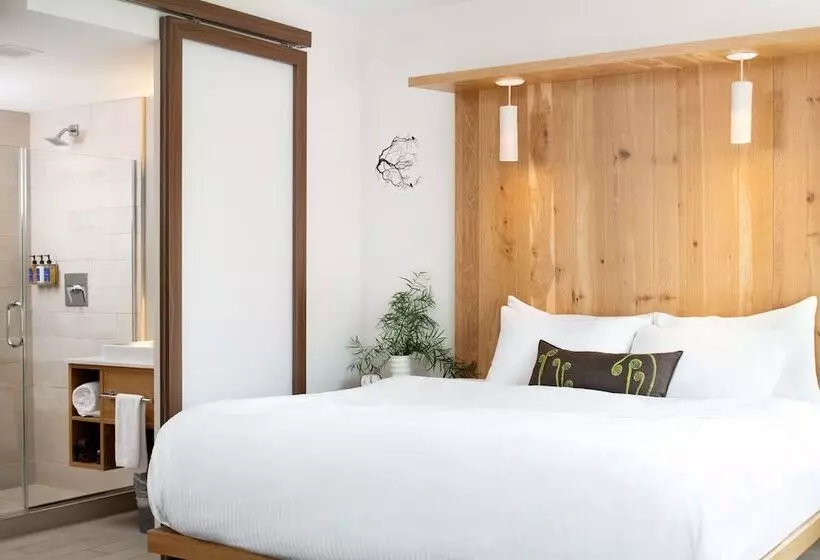 Standard-huone Näkymä, Vermont Burlington