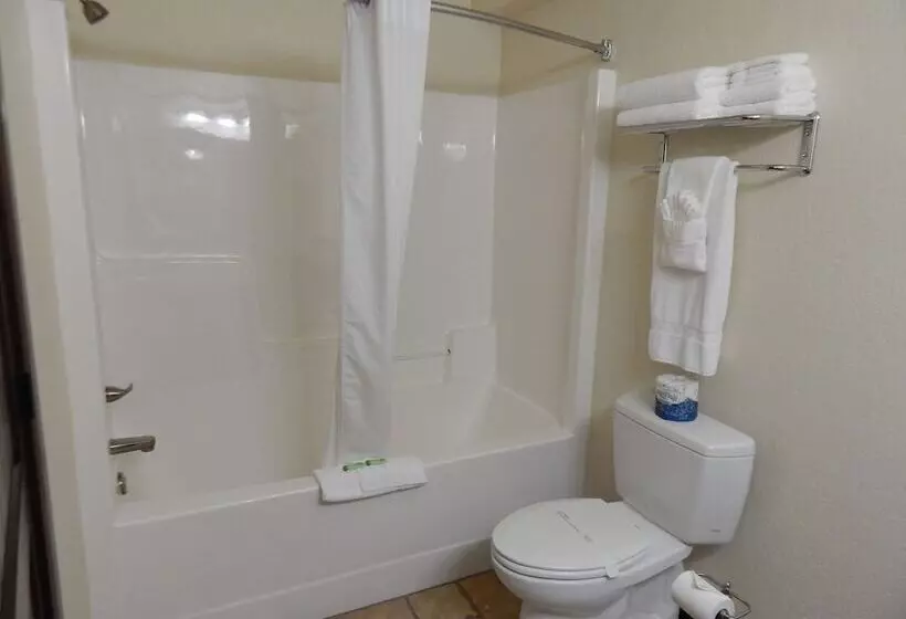 سوییت لوکس, Winterton Suites