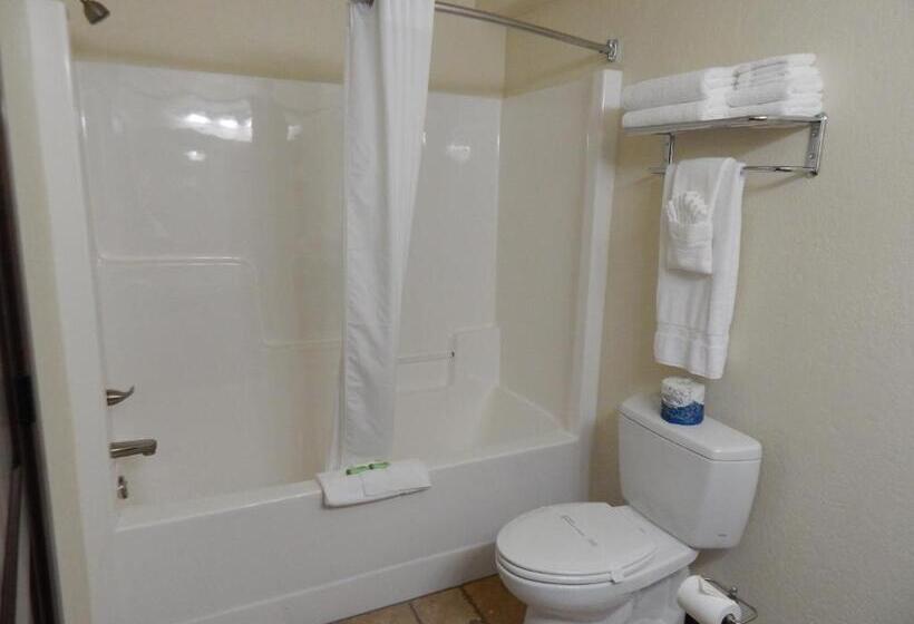 キングサイズベッドのデラックススイート, Winterton Suites