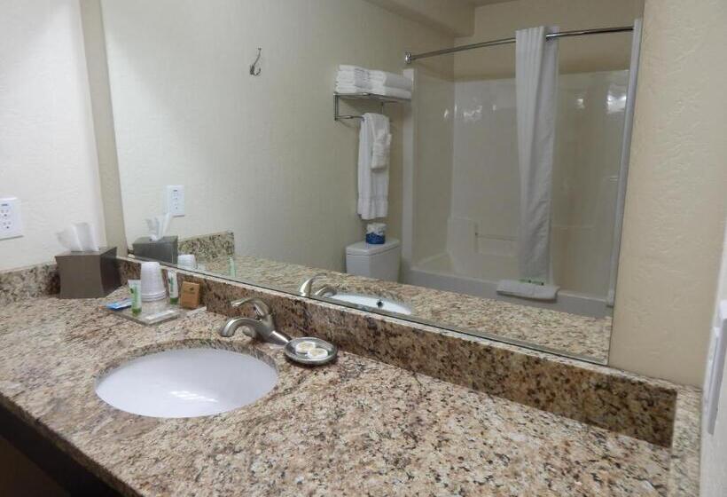 디럭스 스위트 킹 침대, Winterton Suites