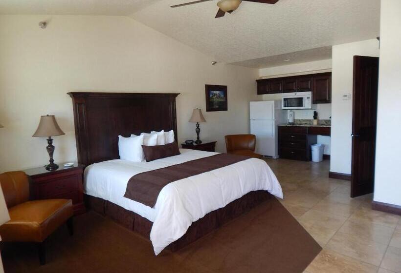 身障者適用スイートルーム, Winterton Suites