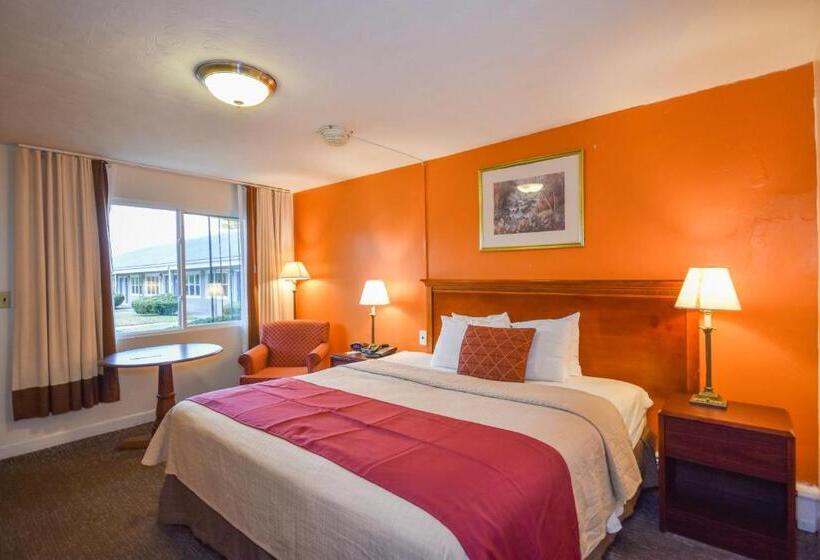 标准单人间, Monticello Inn  Framingham/ Boston