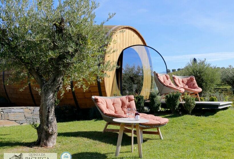 غرفة قياسية, The Wine House Hotel   Quinta Da Pacheca