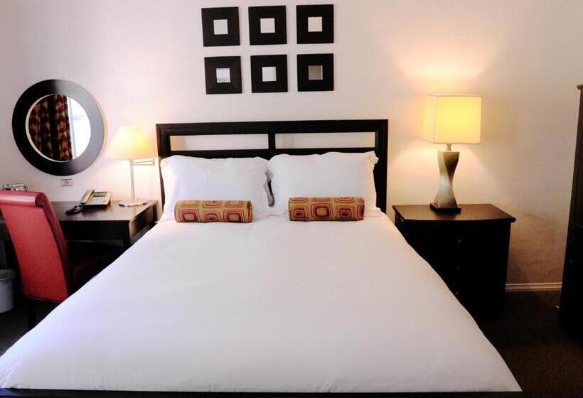 スタンダードルーム, El Primero Boutique