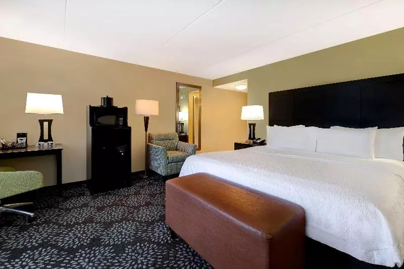 キングサイズベッドのスタンダードルーム, Hampton Inn & Suites Pensacola/gulf Breeze