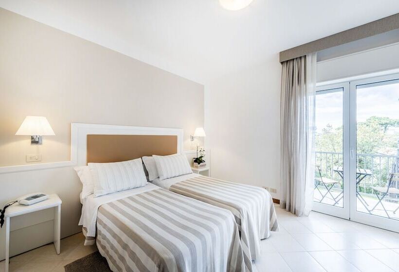 غرفة قياسية, Andreaneri