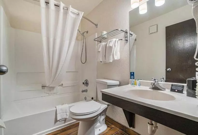 اتاق استاندارد با تخت بزرگ, Days Inn & Suites By Wyndham Traverse City
