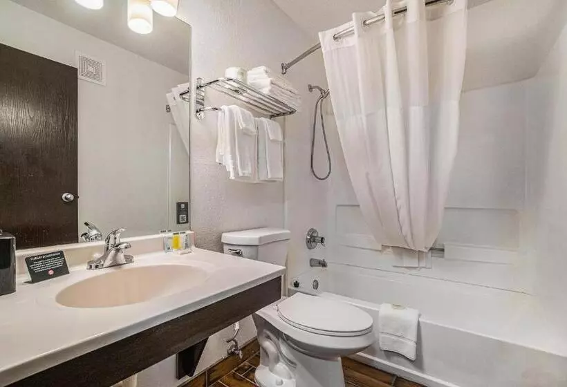 اتاق استاندارد با تخت بزرگ, Days Inn & Suites By Wyndham Traverse City