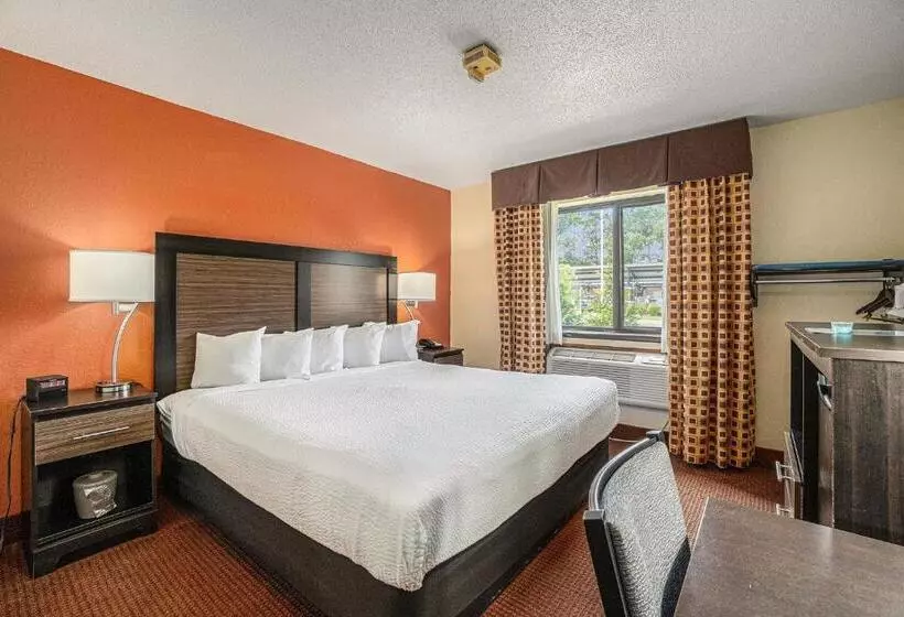 اتاق استاندارد با تخت بزرگ, Days Inn & Suites By Wyndham Traverse City
