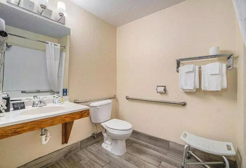 اتاق استاندارد با تخت دو نفره بزرگ برای معلولان, Days Inn & Suites By Wyndham Traverse City