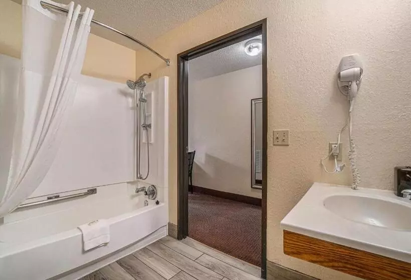 اتاق استاندارد برای معلولان, Days Inn & Suites By Wyndham Traverse City