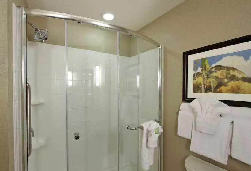 スタンダードルーム, Holiday Inn Express   Colorado Springs   First & Main, An Ihg
