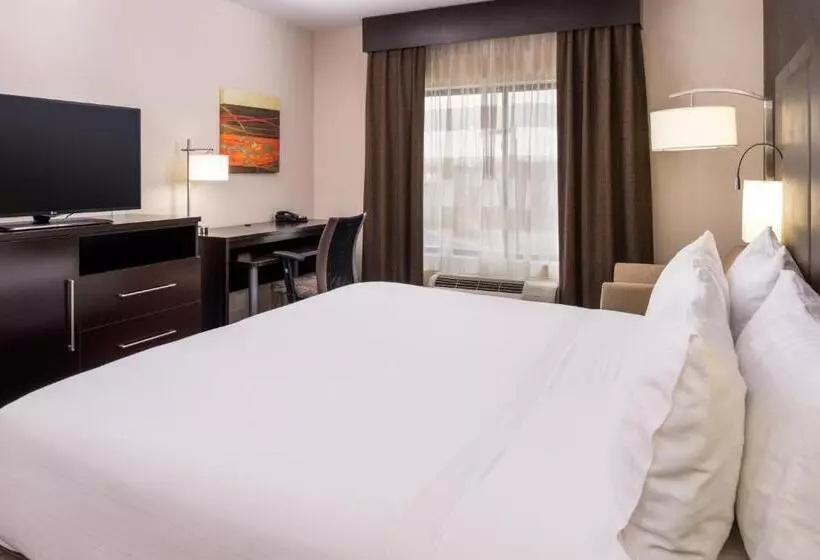 キングサイズベッドのスタンダードルーム, Holiday Inn Express & Suites Monroe, An Ihg