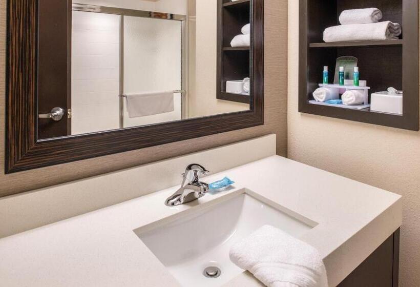 스탠다드 룸 킹사이즈 침대, Holiday Inn Express & Suites Monroe, An Ihg