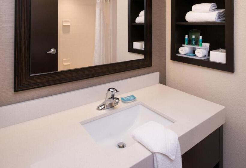 带大床的套房, Holiday Inn Express & Suites Monroe, An Ihg