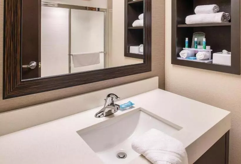 キングサイズベッドのスイートルーム, Holiday Inn Express & Suites Monroe, An Ihg