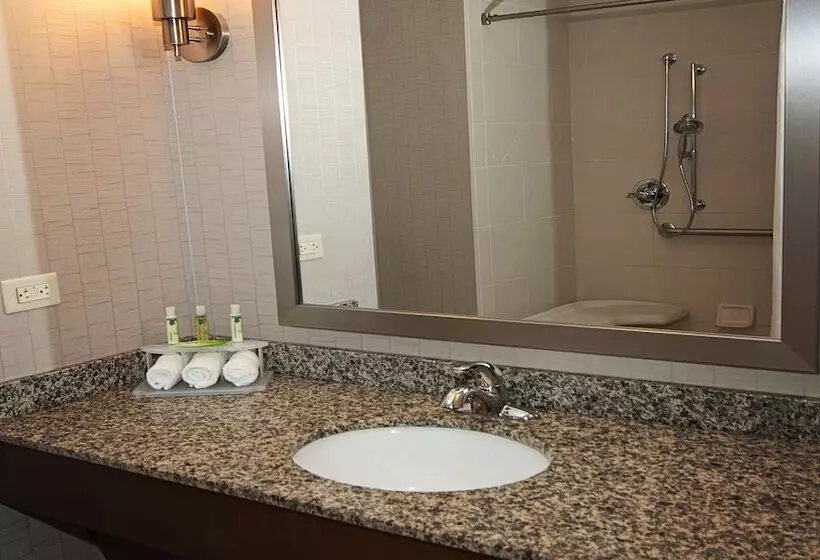 Standard-huone, Holiday Inn Express Hotel & Suites Wichita Northeast, An Ihg