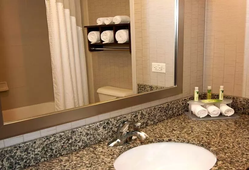 Standard-huone, Holiday Inn Express Hotel & Suites Wichita Northeast, An Ihg