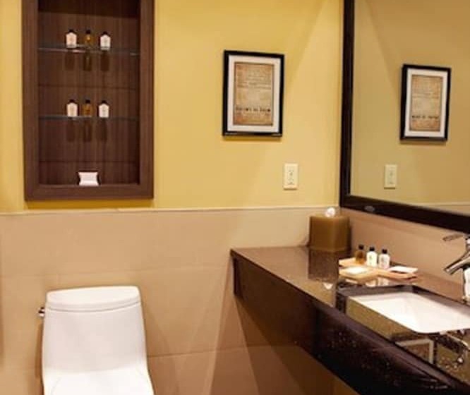 חדר סופריור, Opera House