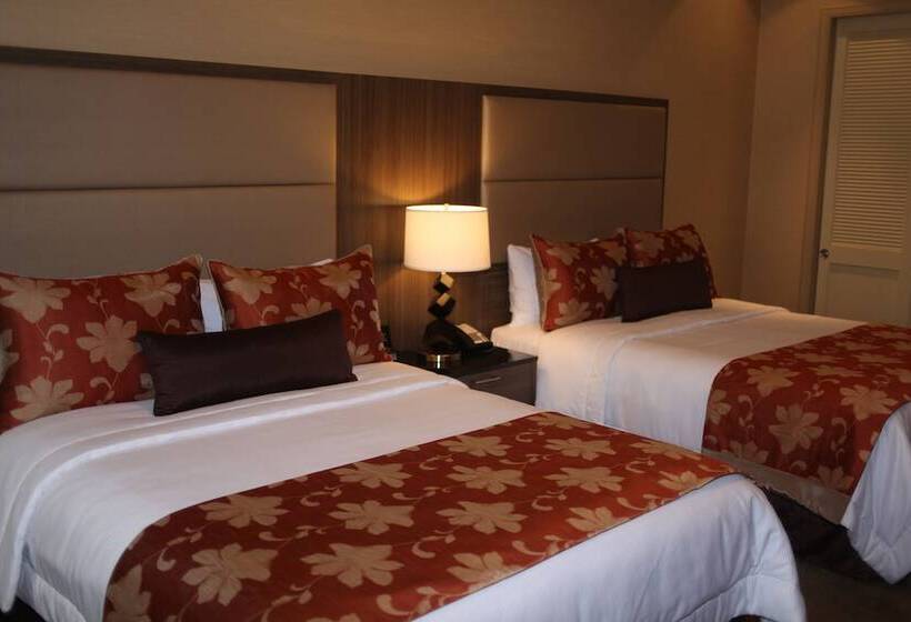 חדר סופריור, Opera House