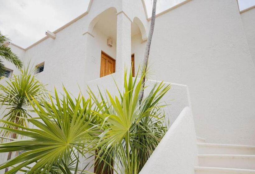 اتاق استاندارد با چشمانداز دریا, Pavoreal Beach Resort Tulum