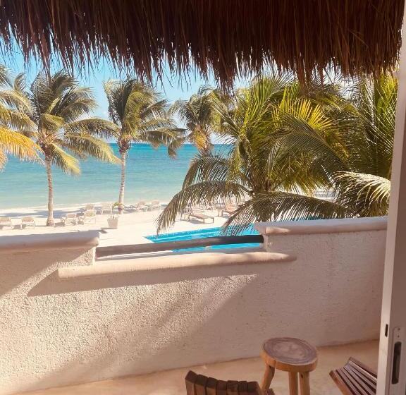 اتاق استاندارد با چشمانداز دریا, Pavoreal Beach Resort Tulum