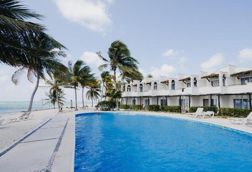 اتاق استاندارد با تخت بزرگ, Pavoreal Beach Resort Tulum