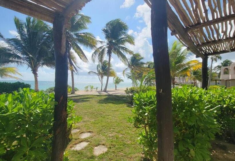 اتاق استاندارد با تخت بزرگ, Pavoreal Beach Resort Tulum