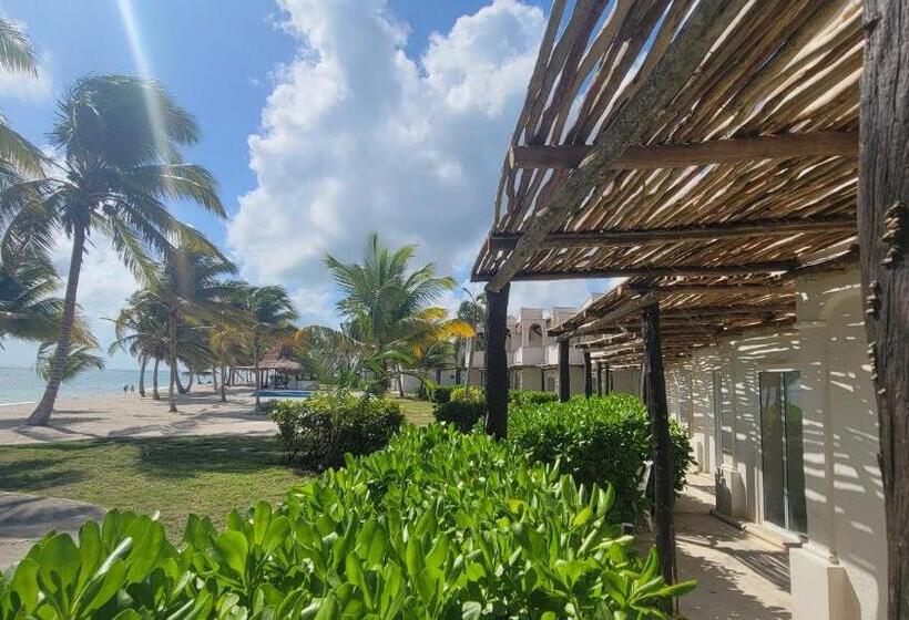 اتاق استاندارد با تخت بزرگ, Pavoreal Beach Resort Tulum