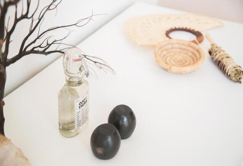 اتاق استاندارد با چشمانداز باغ, Pavoreal Beach Resort Tulum